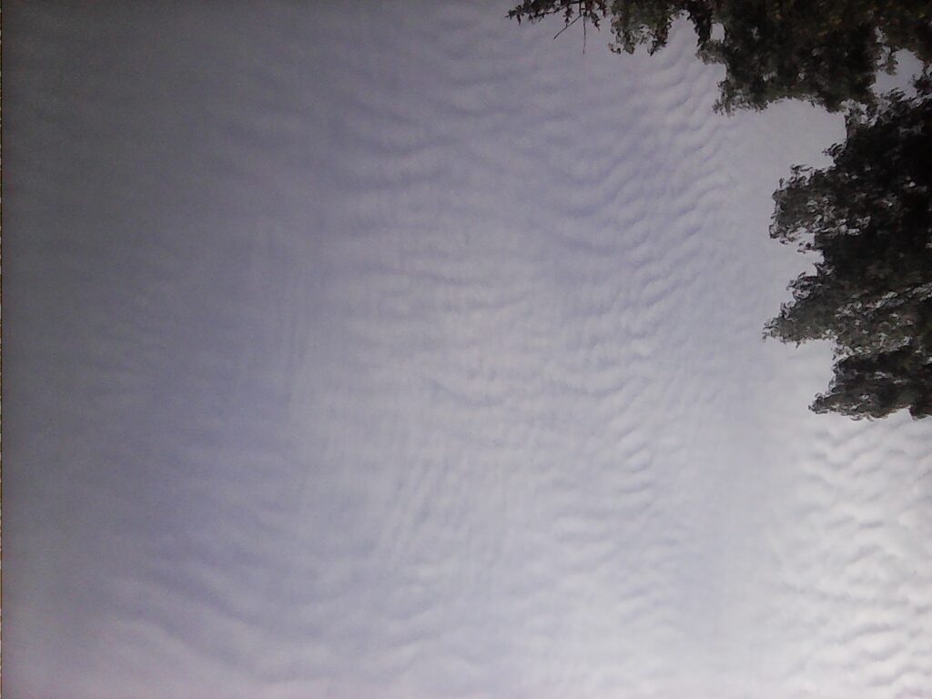 IMG00038.jpg
