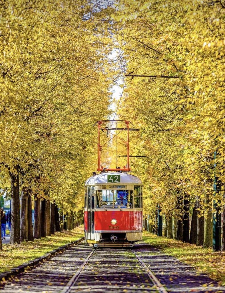 Tramvaj.jpg