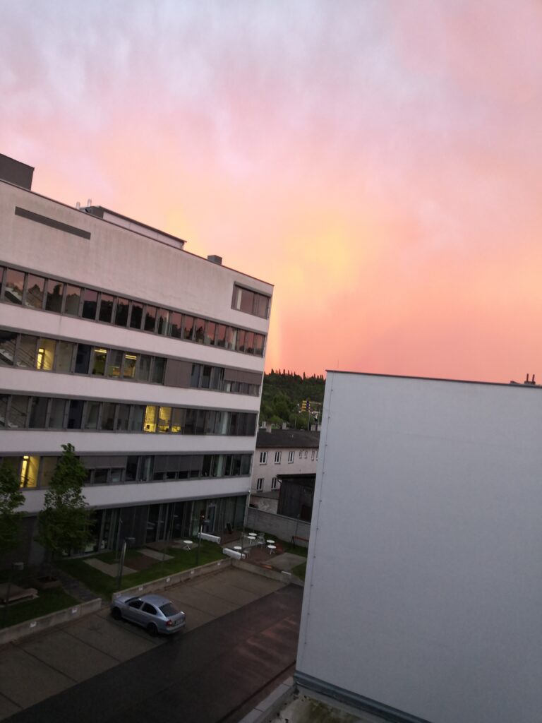 IMG_20240415_195001
